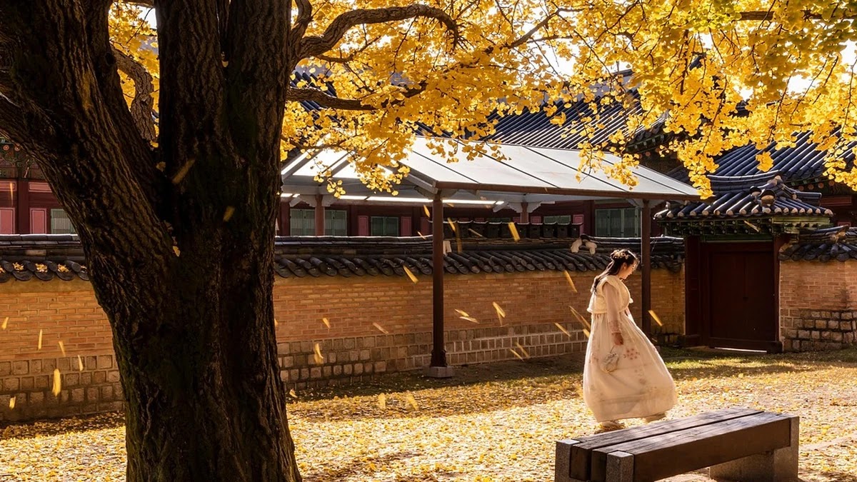 한복 색상별 재산 이전과 가족 유산의 상징성 해석