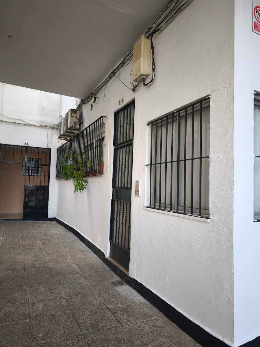Imagen 4