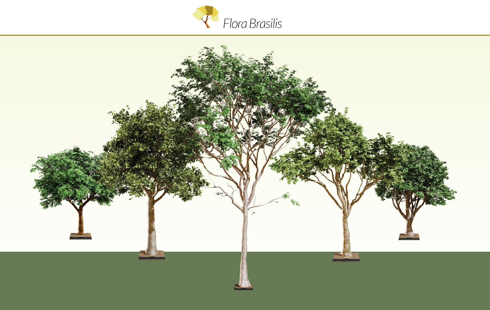 「SpeedTree」を用いたアマゾン熱帯雨林の樹種のデジタルアーカイブ化