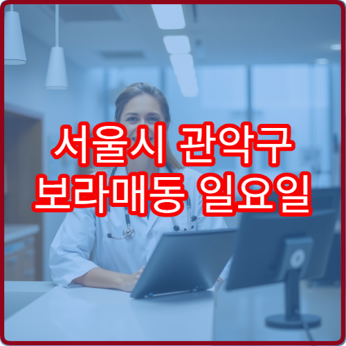 서울시 관악구 보라매동 일요일 이비인후과 진료 병원