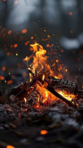 Bonfire Picture