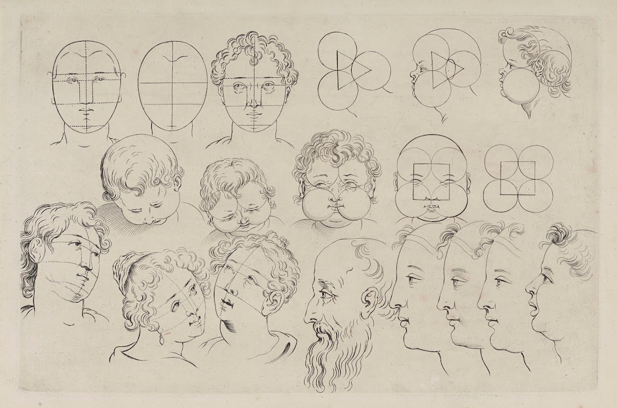 Study of Heads