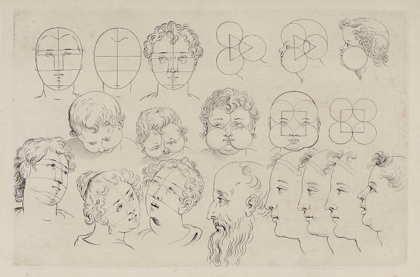 Study of Heads