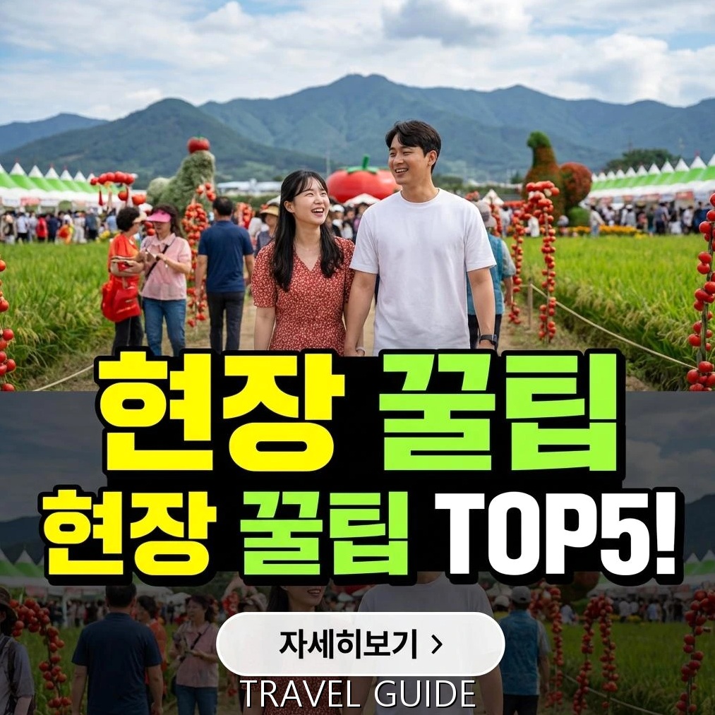 2026 부산 대저 토마토 축제: 럭셔리 & VIP 가이드