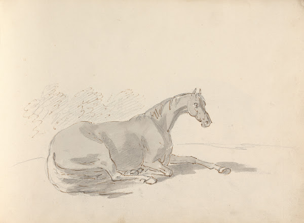 Fourty three Studies of Horses and Riders Pl24 1787
