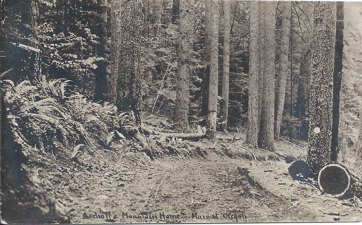 The Barlow Road, Marmot Oregon