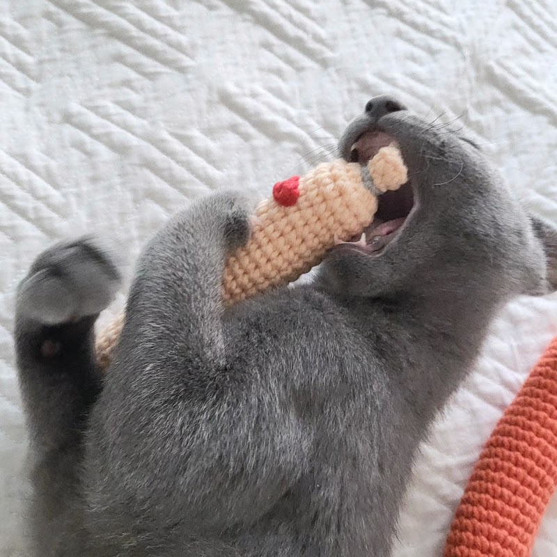 เจย์กงบัง - ไม่ใช่แค่ของใช้ แต่คือ 'งานศิลปะที่จับต้องได้': ปลดล็อกเสน่ห์งานถักโครเชต์ในยุคที่ใครๆ ก็อยากเป็นตัวเอง 이미지 5