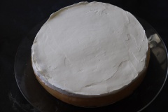 Phần whipping cream đánh đều cùng kem phô mai sau đó cho vào túi tam giác và cho bên mặt bánh, dùng phới tản phần kem thật đều là hoàn thành món bánh nước dừa thơm ngon.