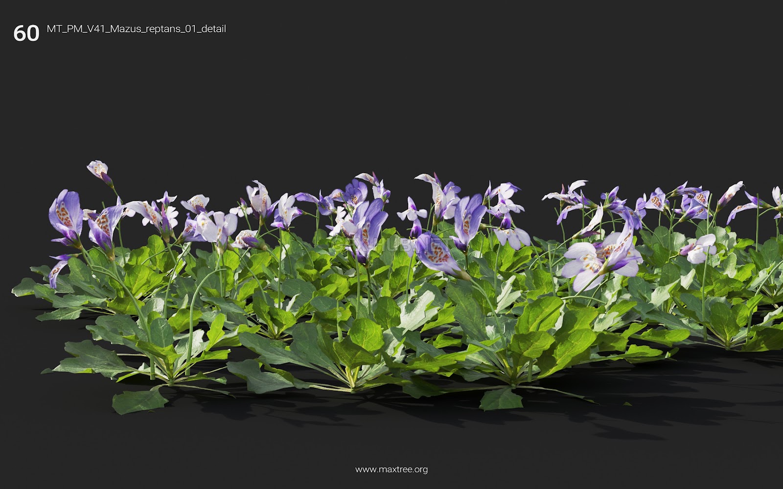 Maxtree - Plant Models Vol.41