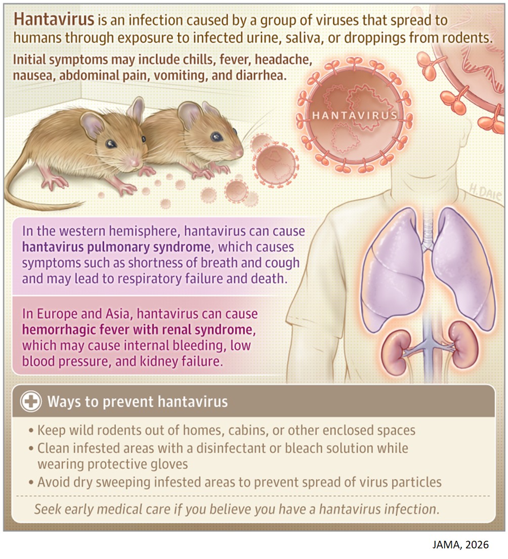 What Is Hantavirus?