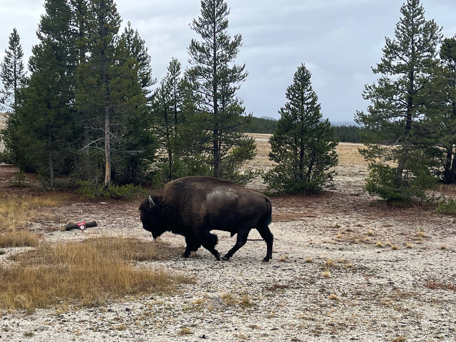 Rocky Mountain wilderness — Bonaventure Memorials ceremony region
