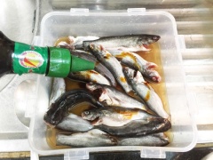 Cho cá vào âu nhỏ. Ướp cá với: 5 muỗng canh nước mắm ngon. 2/3 muỗng canh đường, 1/4 muỗng cà phê bột ngọt. Rưới vào 1 muỗng cà phê nước màu.