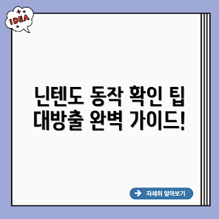 닌텐도 동작 확인, 닌텐도 가이드, 닌텐도 설정, 게임기 동작, 닌텐도 사용법