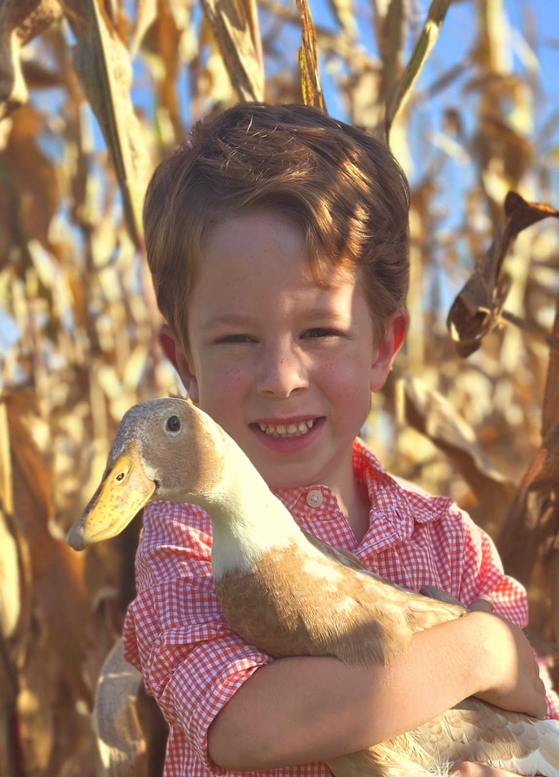 Fawn & White Runner Duck