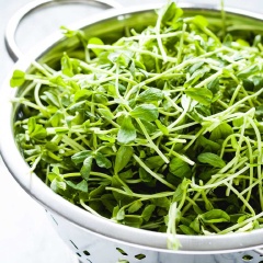 Đọt đậu Hà lan rửa sạch. Bắp cải tím bào mỏng, rửa sạch. Xoài gọt vỏ, thái hạt lựu. Củ cải đường và dưa leo rửa sạch, thái lát mỏng. Cho tất cả các loại rau củ cùng đậu phộng rang vào tô trộn, rưới dầu giấm lên rồi trộn đều là hoàn thành.