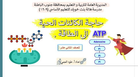 شرح درس حاجة الكائنات الحية إلى الطاقة - أحياء الصف 12 الفصل 2 (2)
