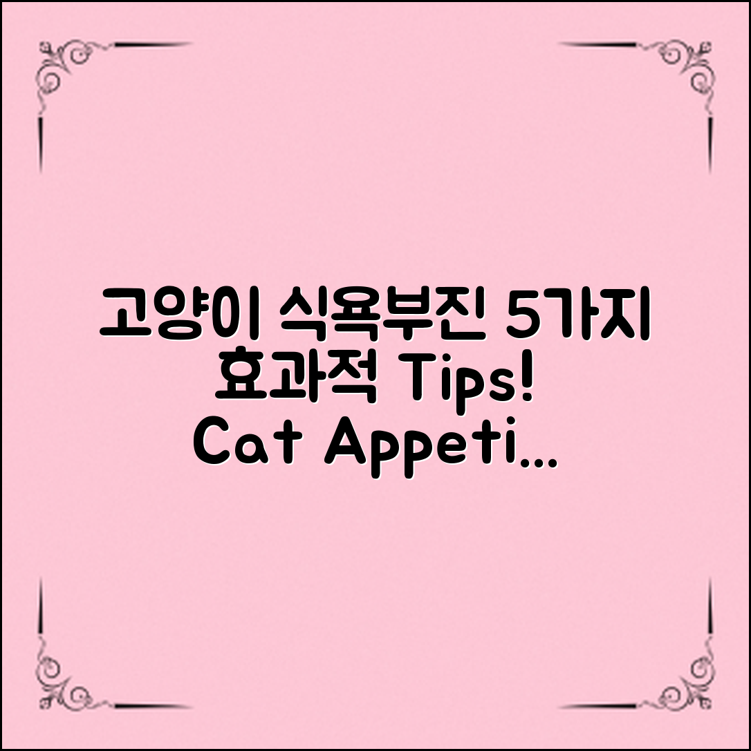 고양이 식욕부진, 5가지 효과적인 대처법!
