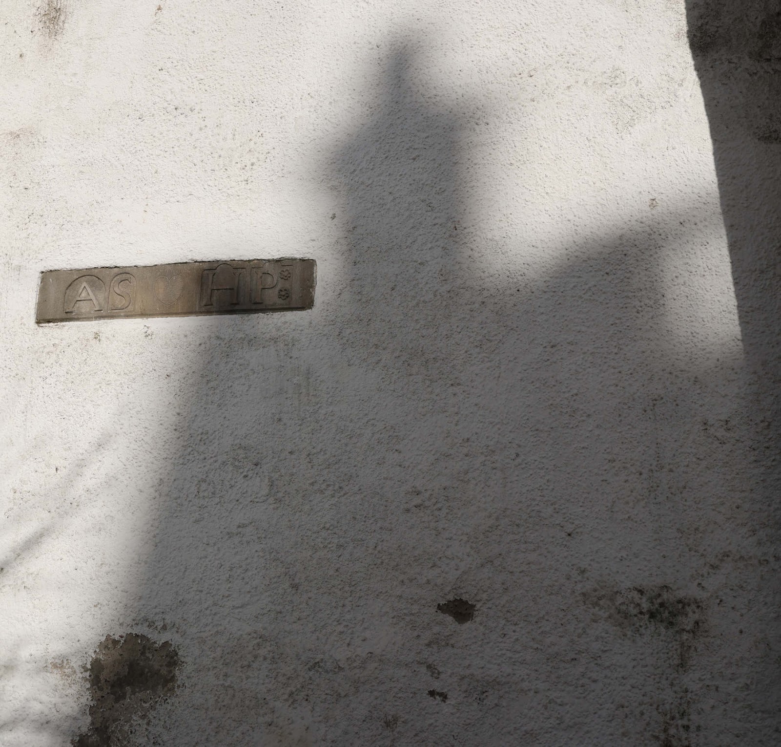 Abertarff_Shadow_of_Dalcross_House_5Mar2024_EL7A0130.jpg