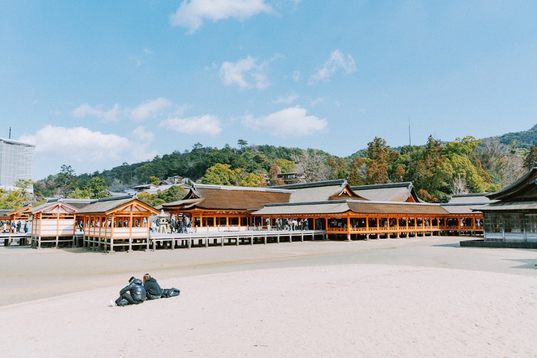 서핑 1도 몰라도 괜찮아! 초보자를 위한 서피비치 서핑 완벽 가이드