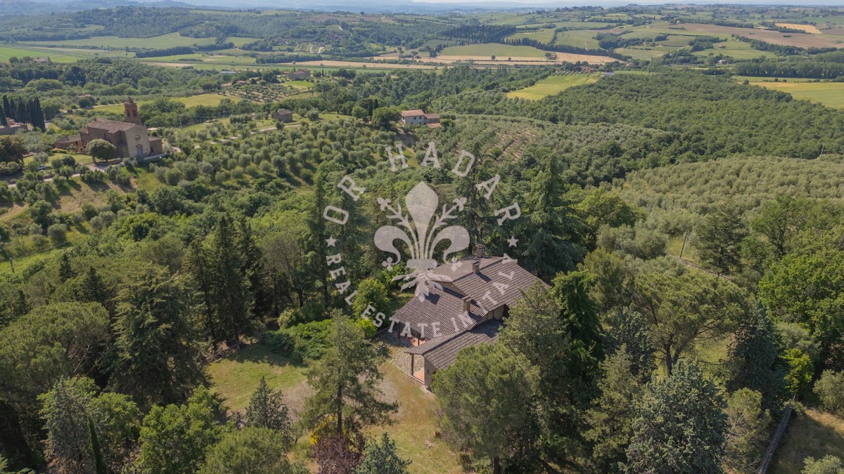 הפודרה דיי פיני (Il Podere dei Pini) — 10