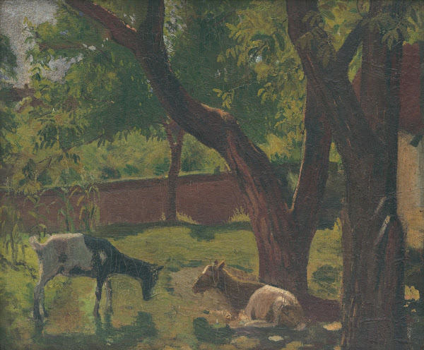 ZáHrada S Kozami JáN 1907