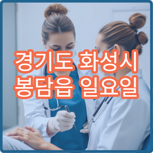 경기도 화성시 봉담읍 일요일 정신건강의학과 병원 안내 주말 정신과 안내