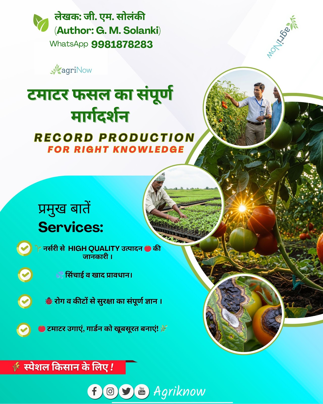 टमाटर मार्गदर्शन