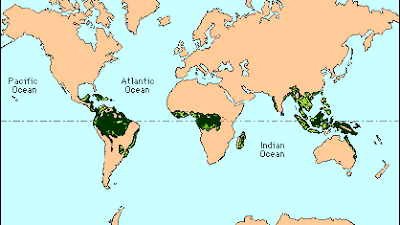 Penulis Tamu