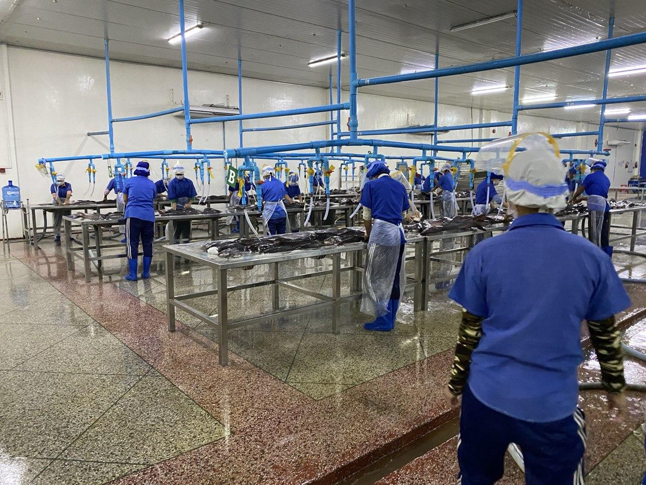 Security monitoring setup at the facility