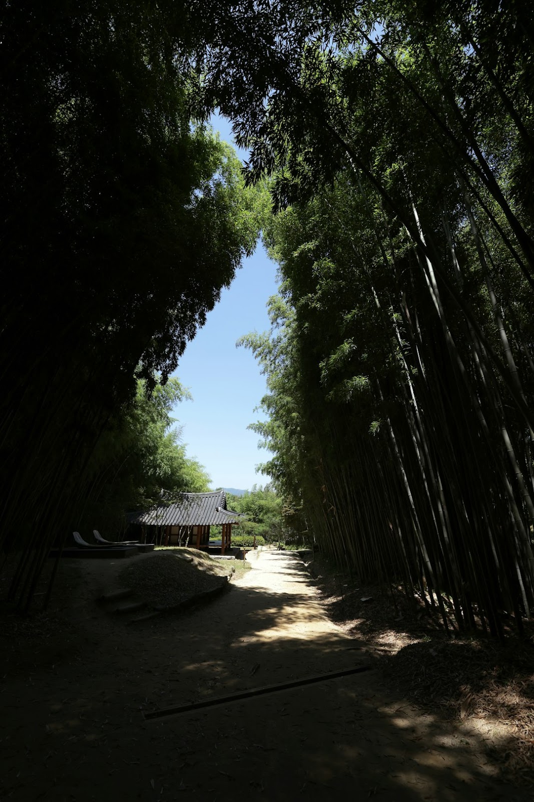 국립 자연휴양림: 피톤치드 가득한 숲속 쉼터