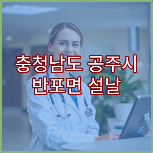 충청남도 공주시 반포면 설날 명절 연휴 휴일 당번약국 영업시간