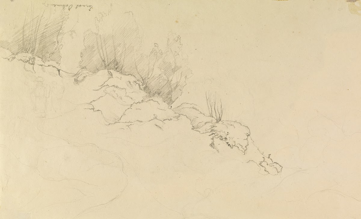 Rocky Forest with Strollers 1825