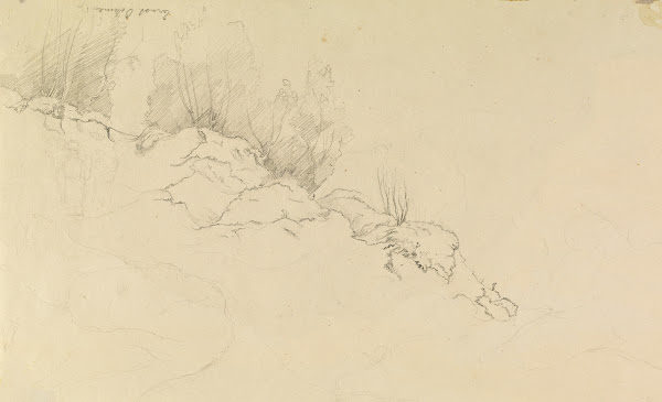 Rocky Forest with Strollers 1825