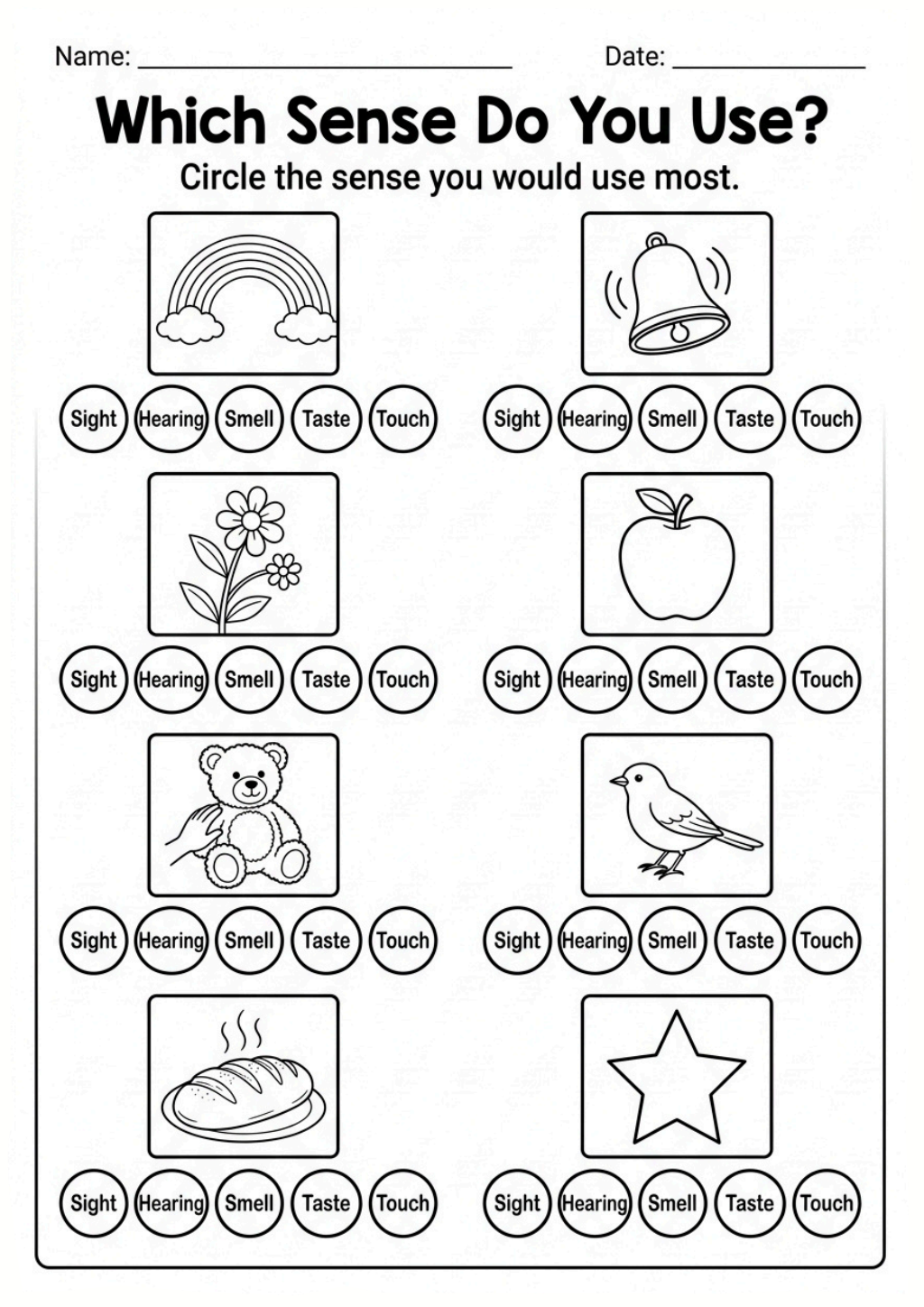 Which Sense Do You Use? Worksheet