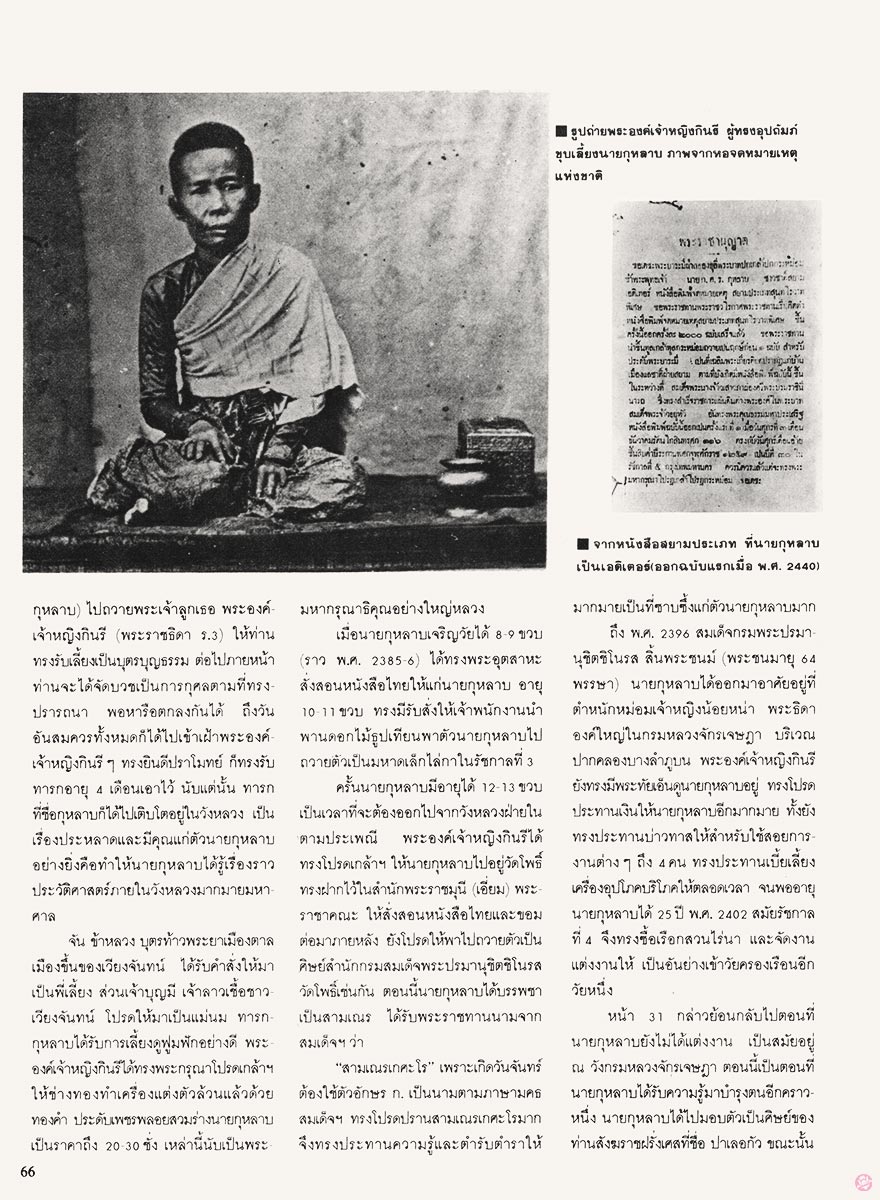  นะคะ58 : เสมียรกุหลาบฟันขาว 