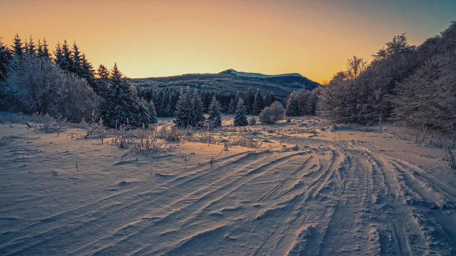 Snowy Forest Trail At Dawn - Landscape Photography 4K Wallpaper (3840x2160)