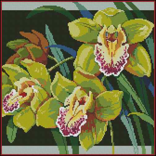 CMP 170231 Yellow Orchids