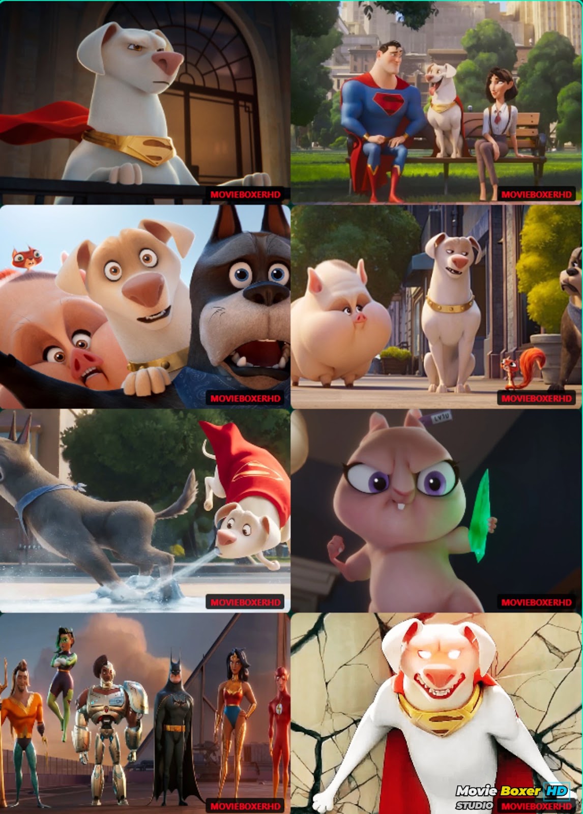 Screenshots Grid