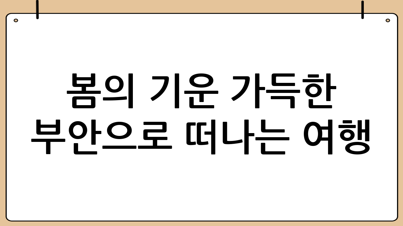 봄의 기운 가득한 부안으로 떠나는 여행
