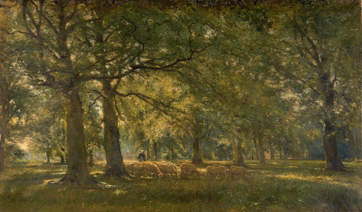 Landscape with Sheep