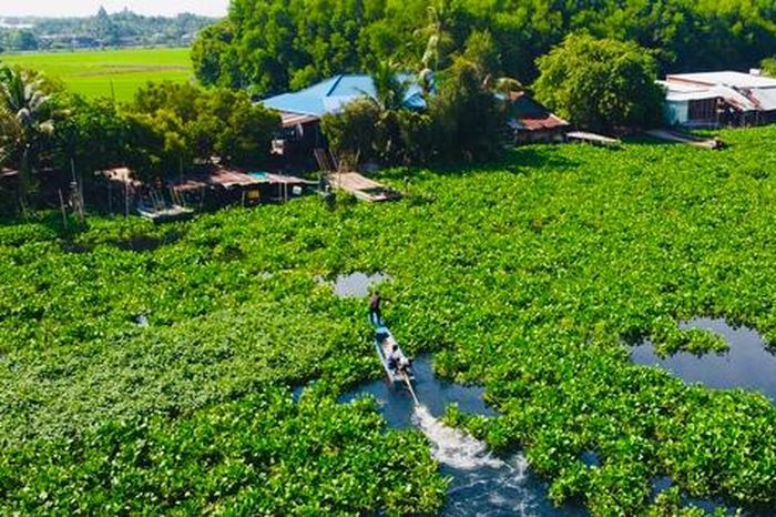 Cận cảnh nước sông Vàm Cỏ Đông chuyển màu đen trên cả một vùng rộng lớn, bốc mùi hôi - Báo Người Lao Động