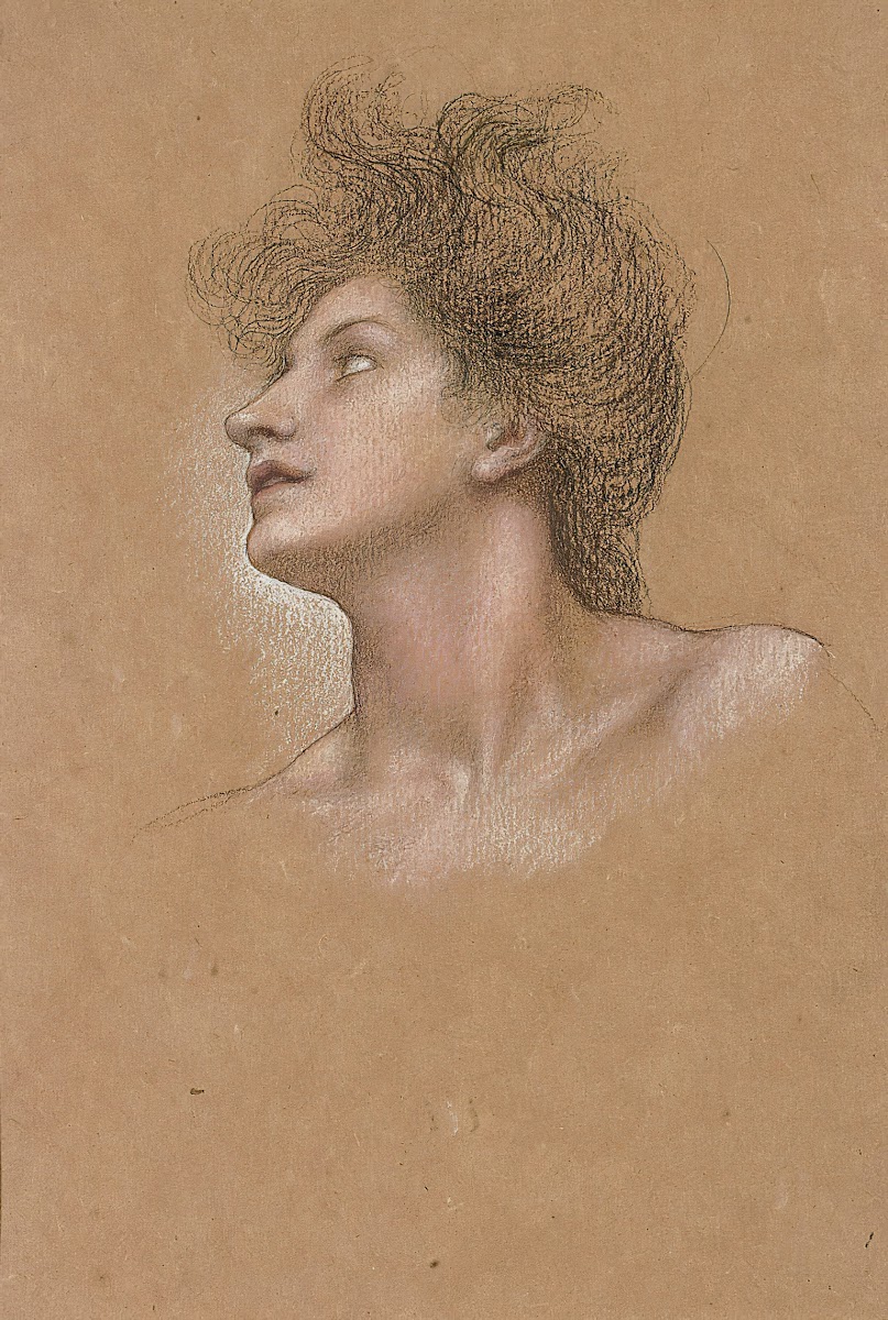 Study of a womans head