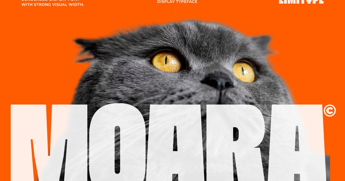 Moara – Bold Condensed Font Free Download – Envato Elements