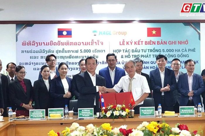 Điểm tin trưa: Tỉnh Champasak và Tập đoàn Hoàng Anh Gia Lai ký kết đầu tư 5.000 ha cà phê - Báo Gia Lai
