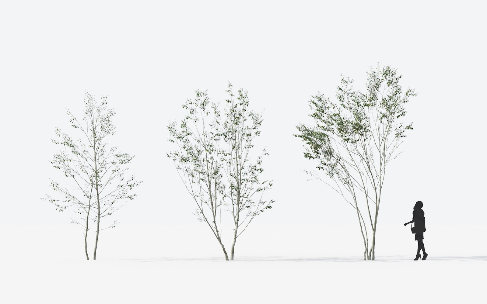 Maxtree - Plant Models Vol.14
