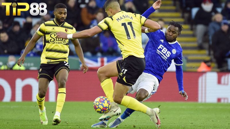 Lịch sử đối đầu Leicester City vs Watford