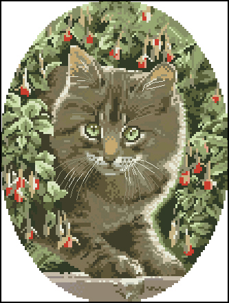 CMP JS303 Tabby Kitten