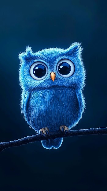 Owl Art Picture