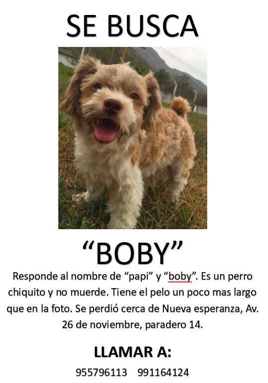 BOBY