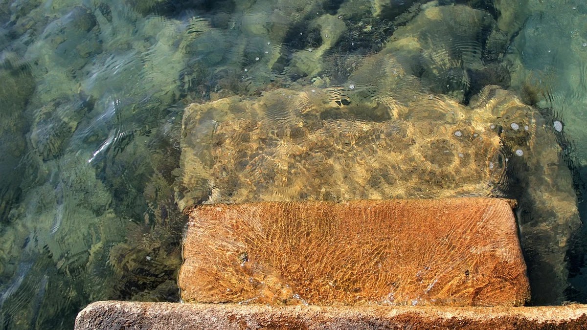 알고리즘 공부 순서와 단계별 학습법 비교